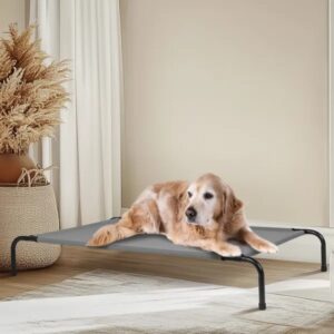 50D X 31W X 8H Dog Bed - Large Rectangular Pet Bed
